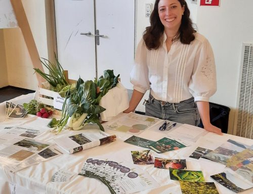 Bio-Regional-Fairer-Markt 18.4.